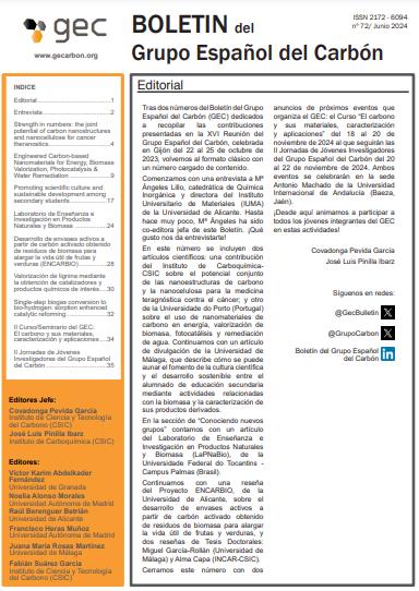 西班牙碳集團(tuán)公報